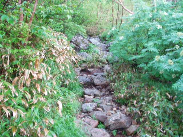 石が積まれた登山道
