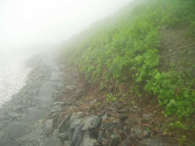 どっちへ行くか