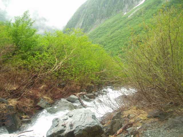 激しく沢が音を