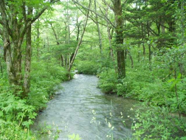 徳沢園を出てすぐ