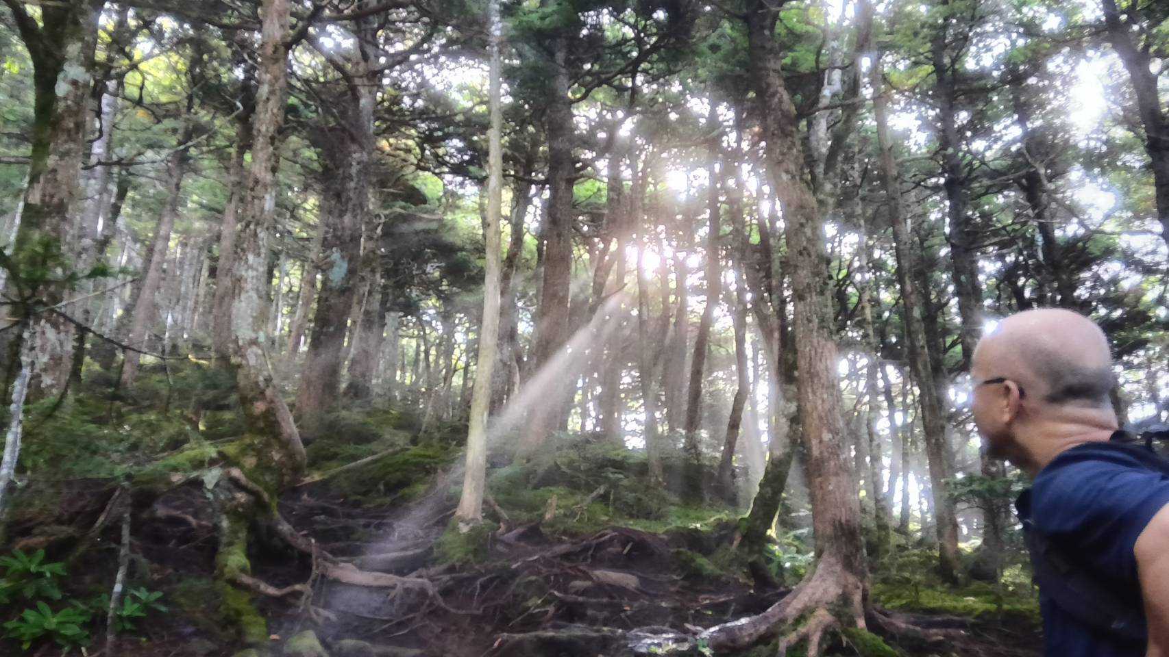 未知との遭遇