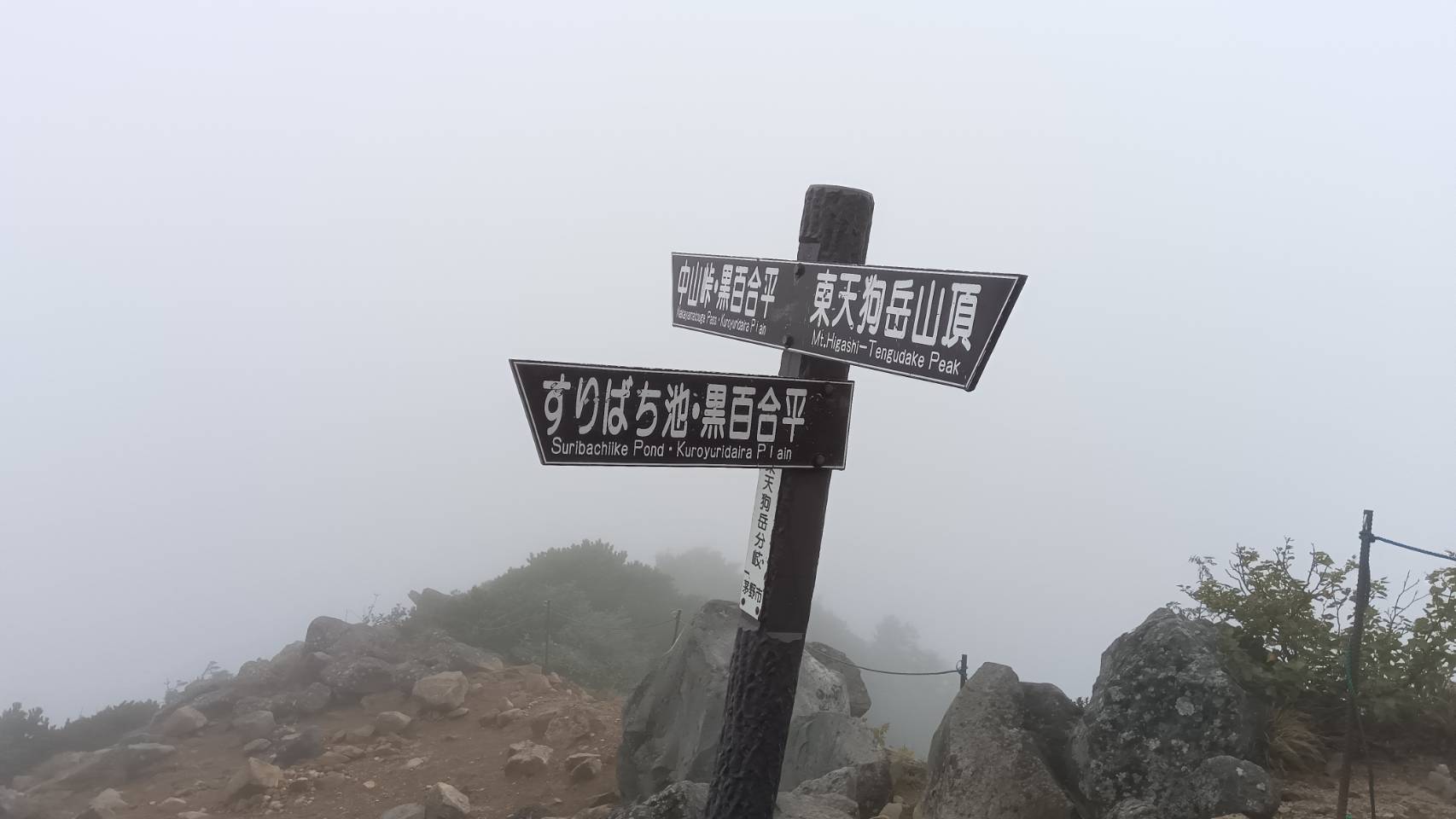 ビーフシチューを求めて