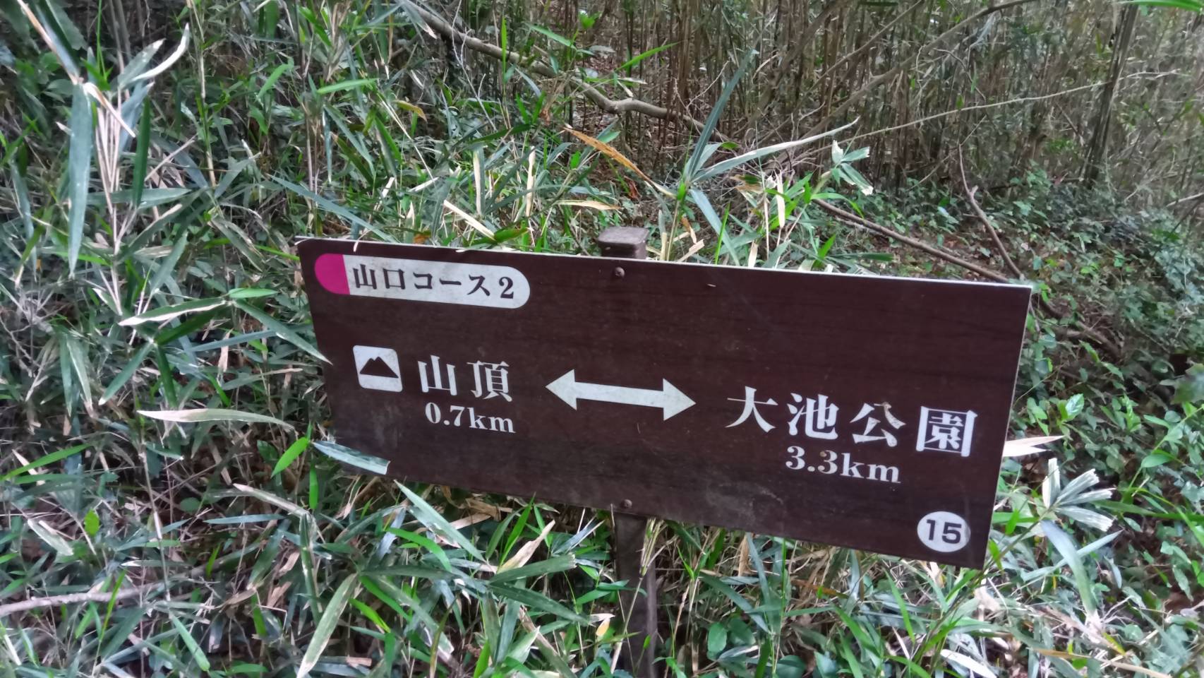 だいぶ登ってきた