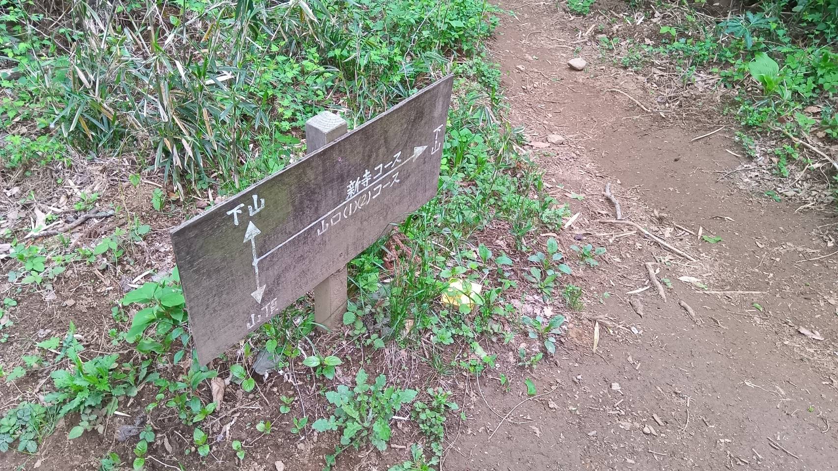 頂上分岐