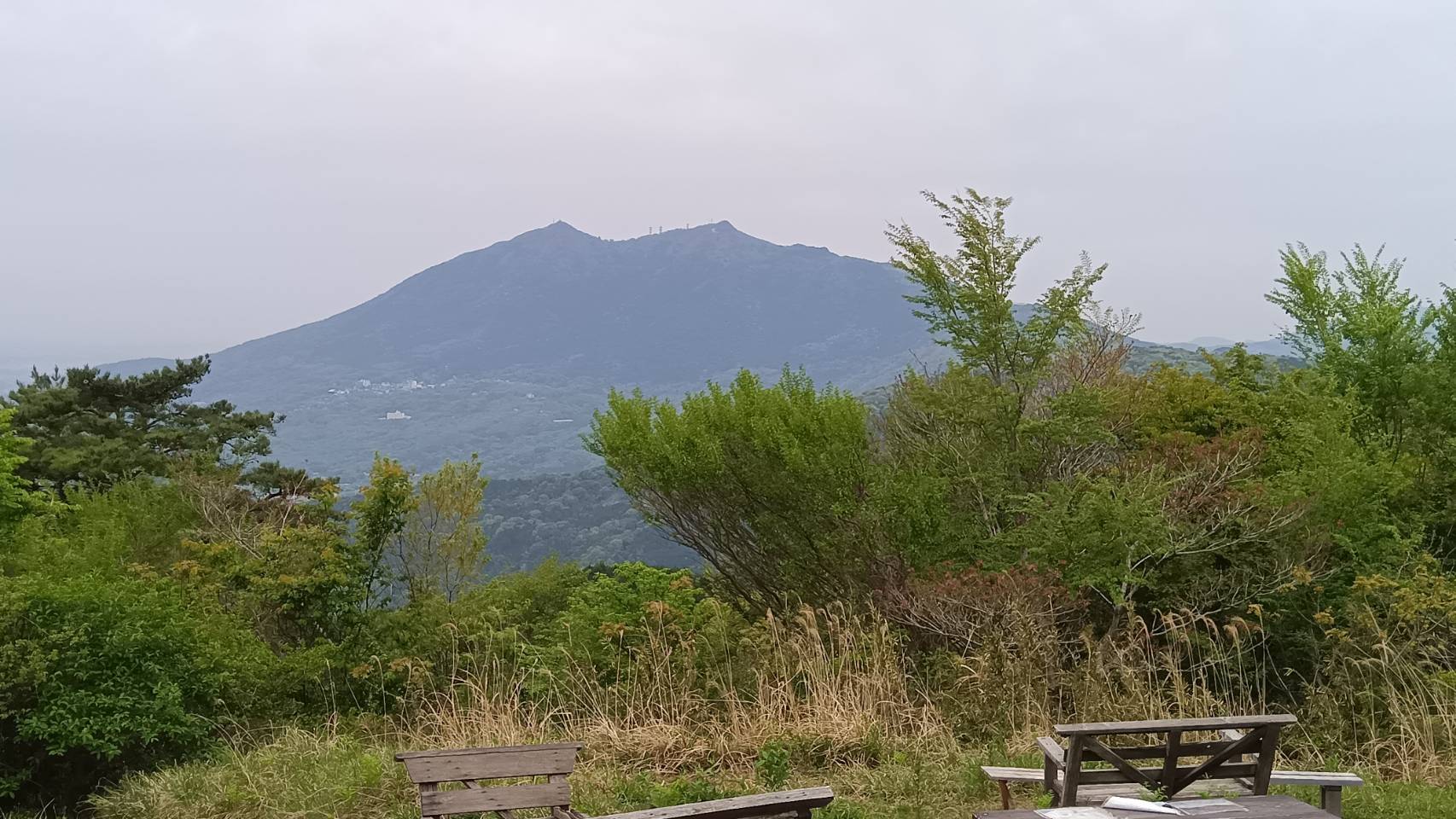 つくばさん