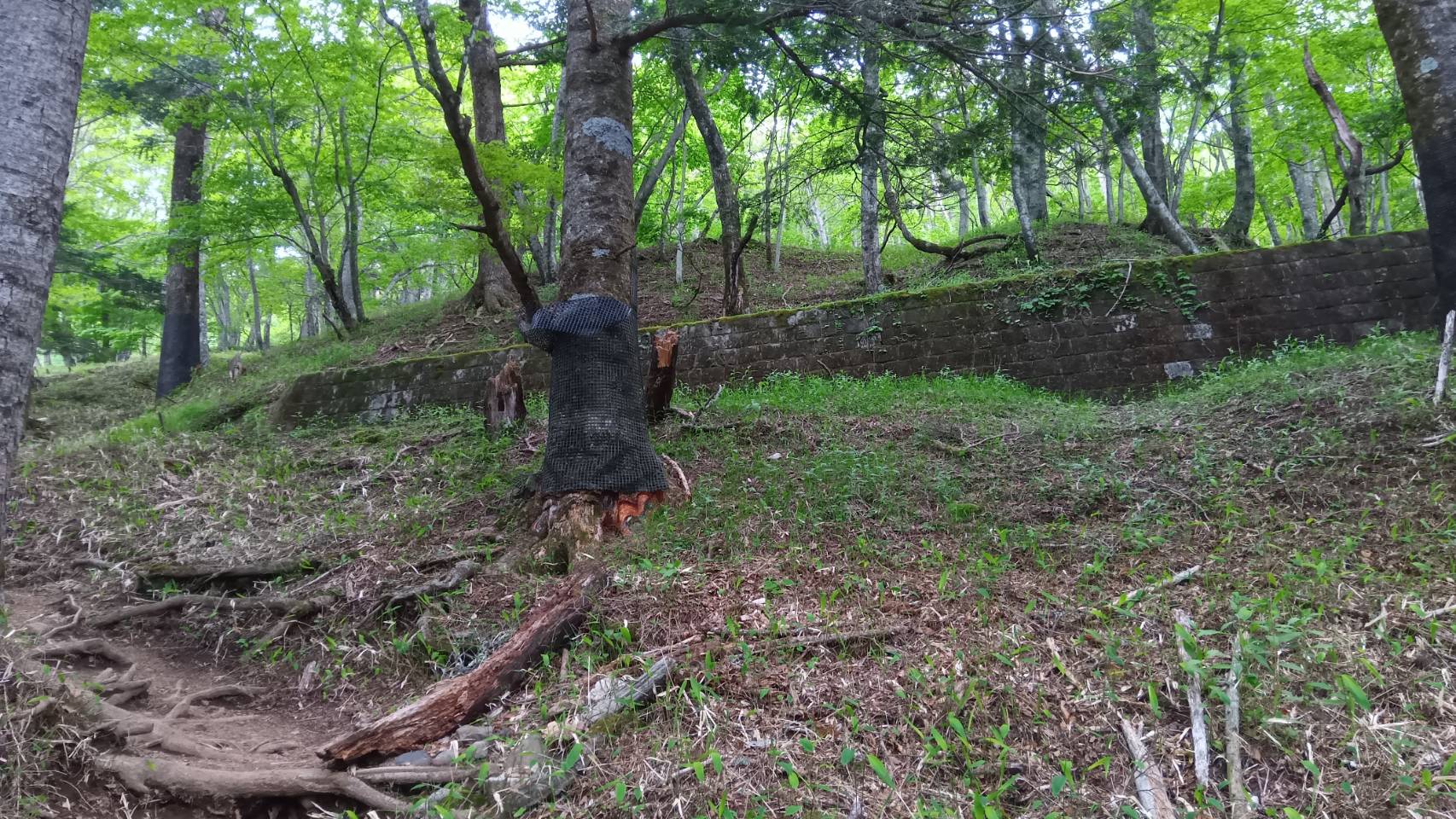 石垣に当たる