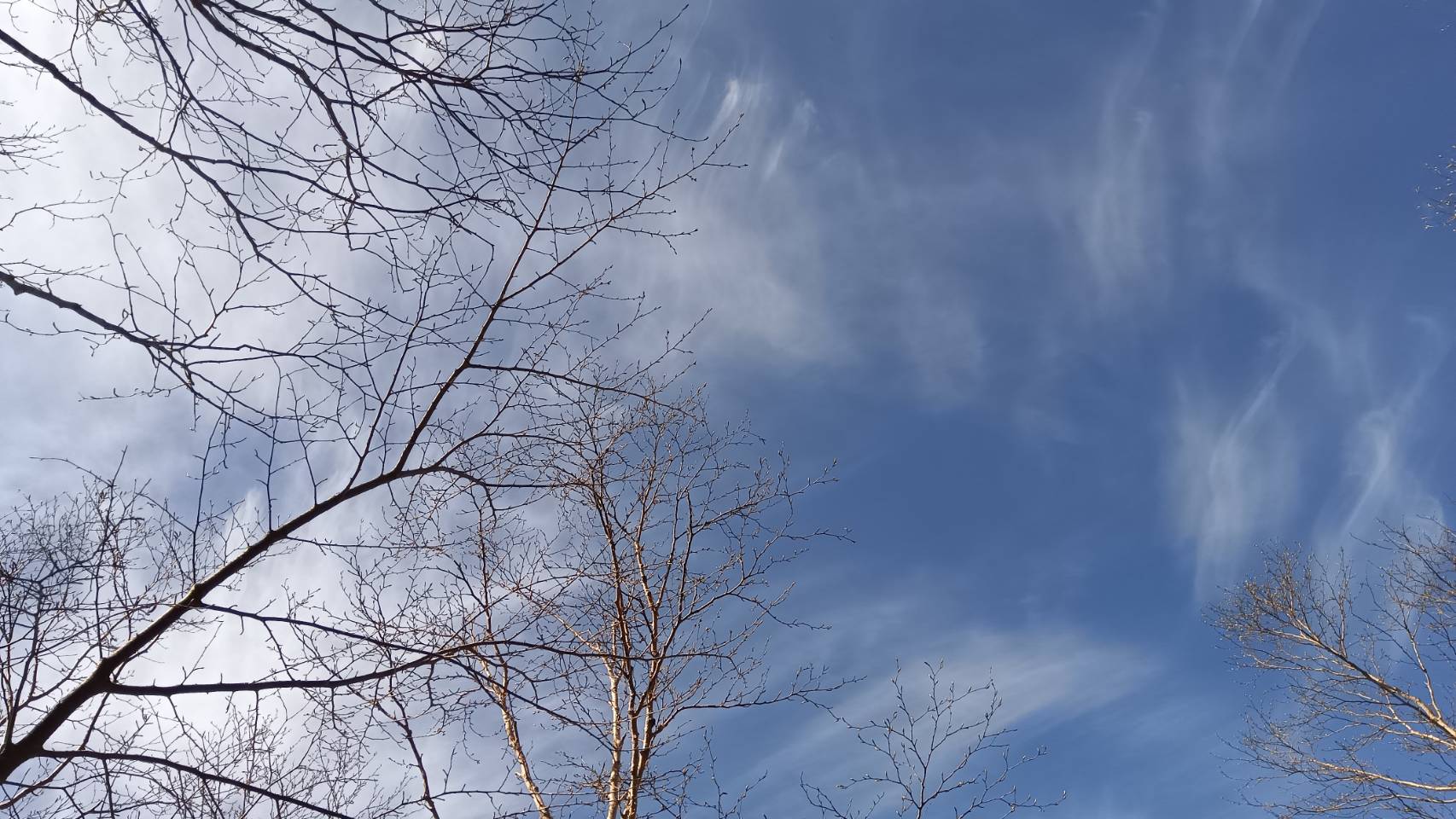 いい天気