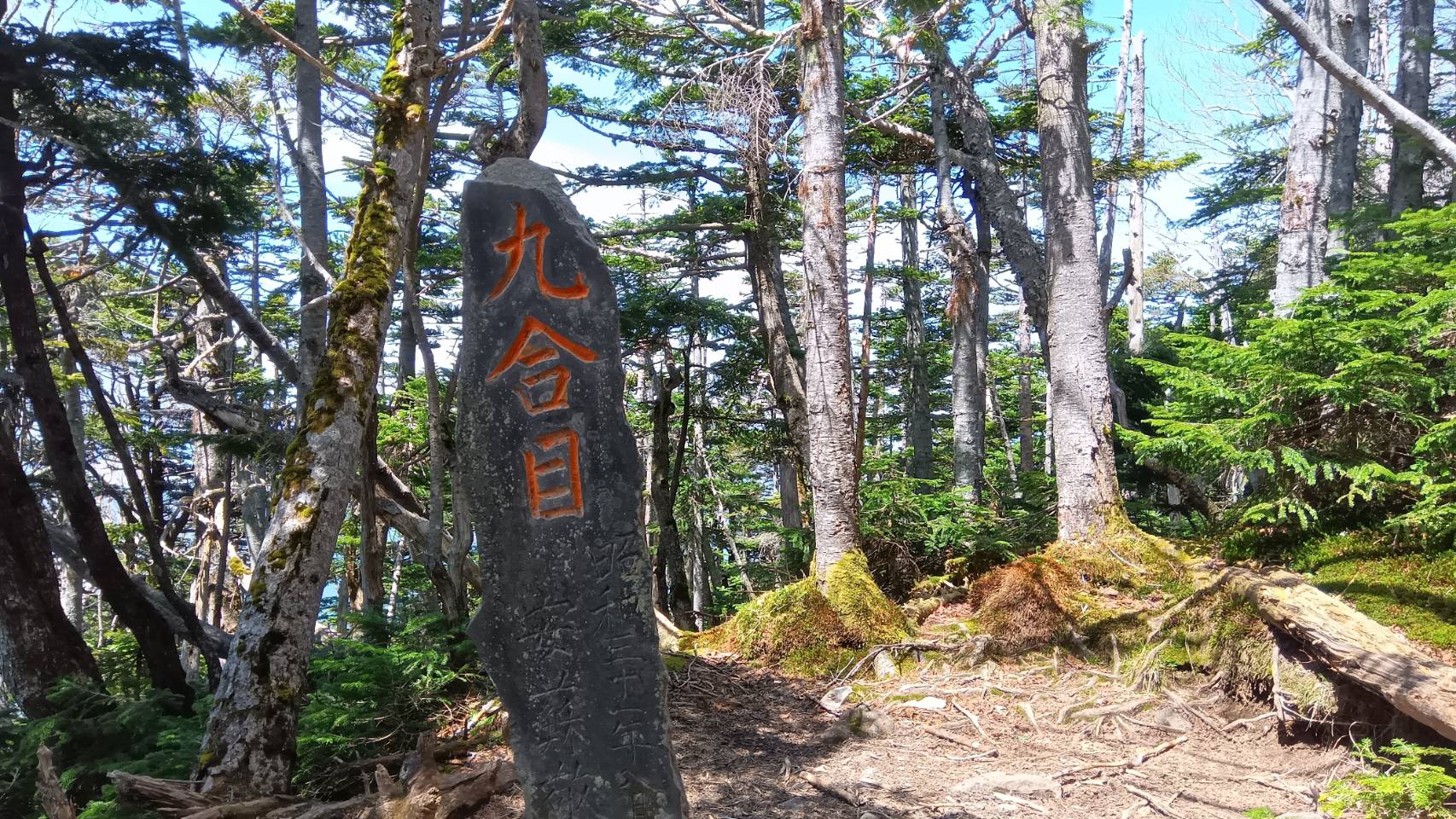 九合目
