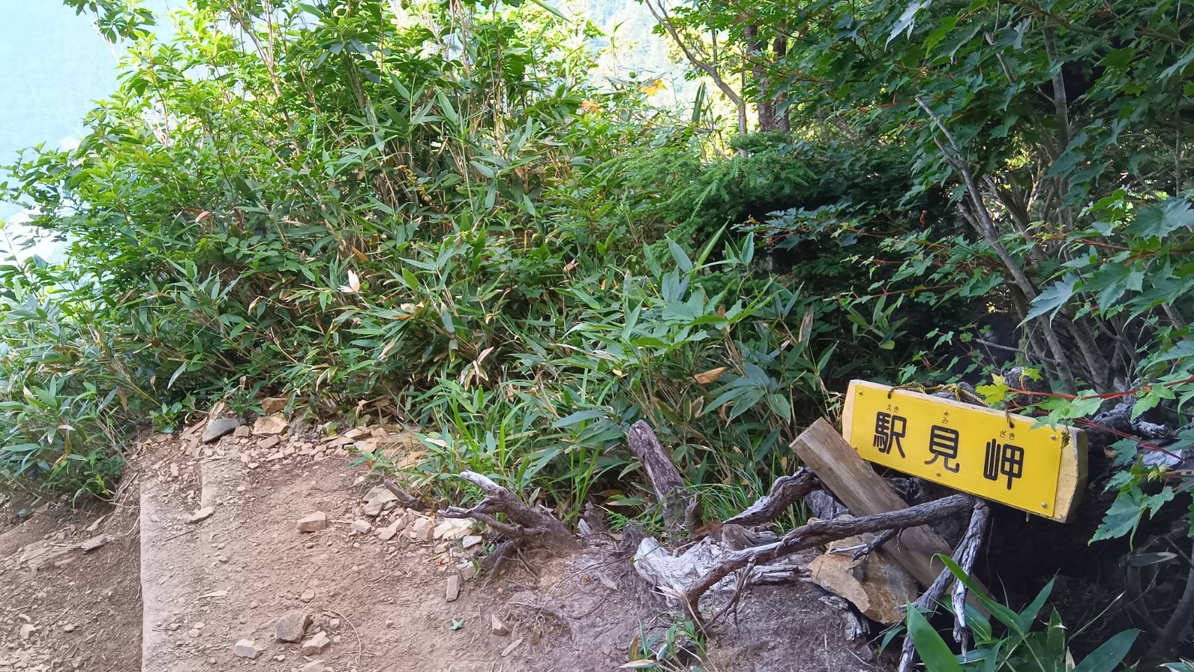 駅見岬