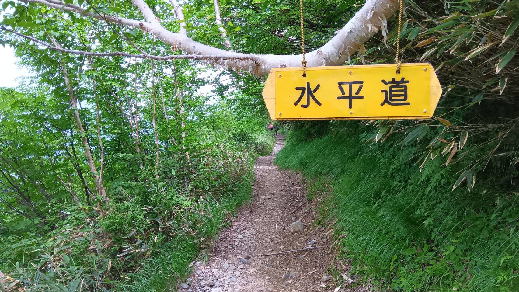 水平道