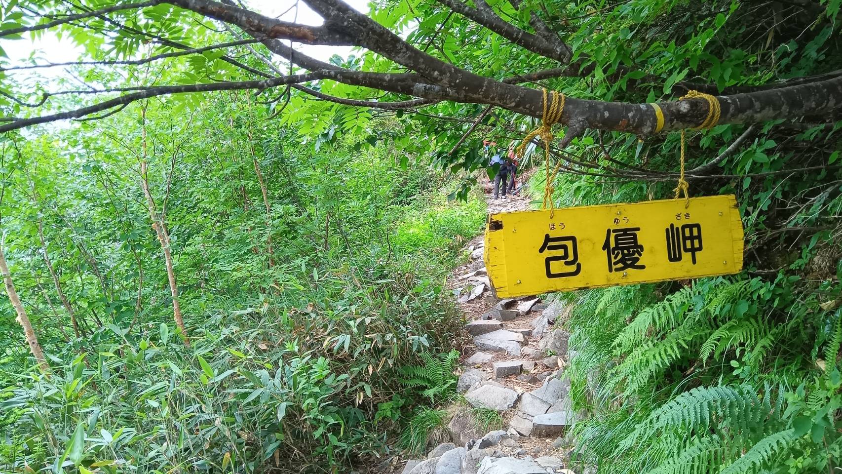 包優岬