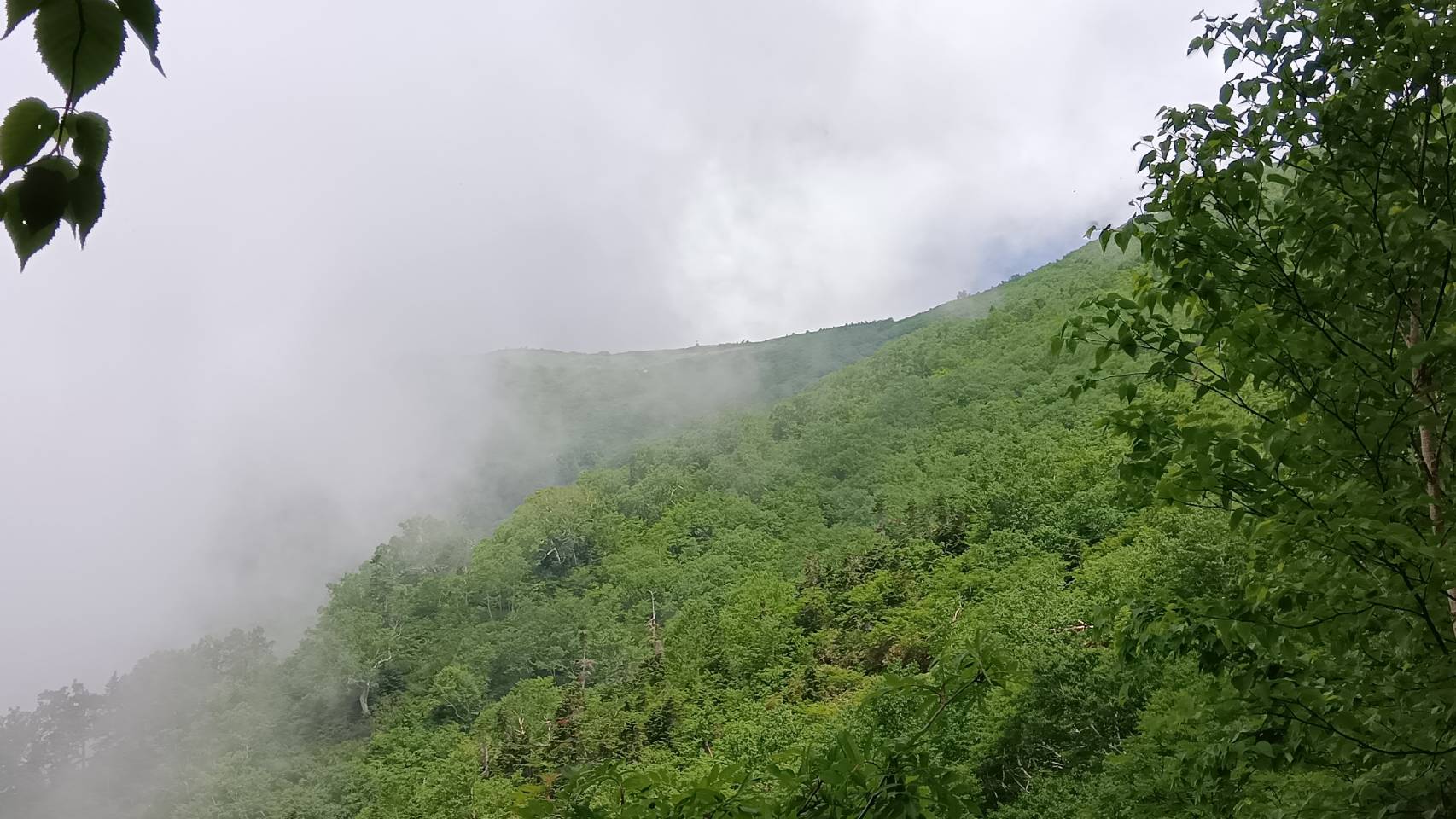種池山荘ガスの中
