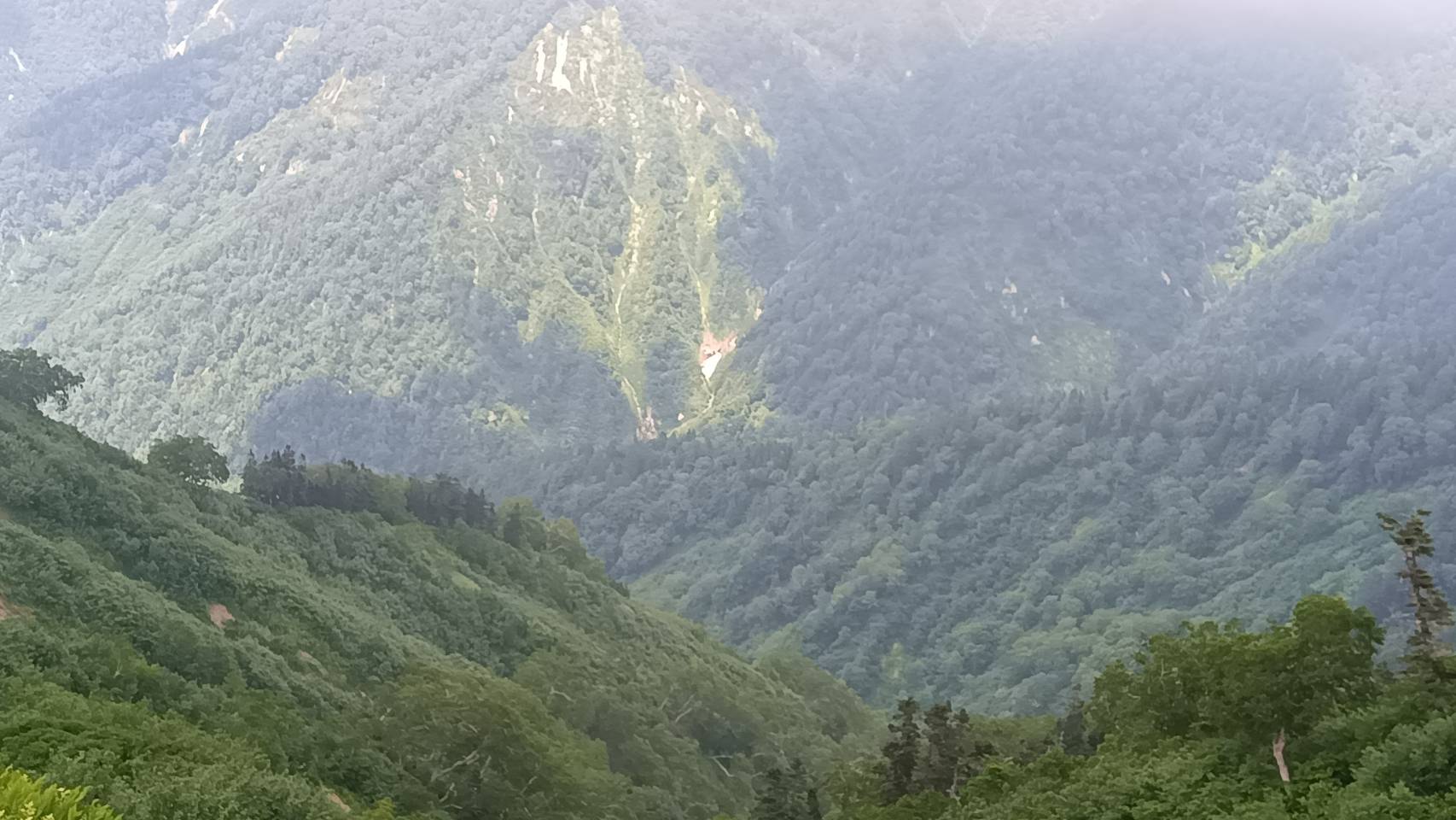 山の中