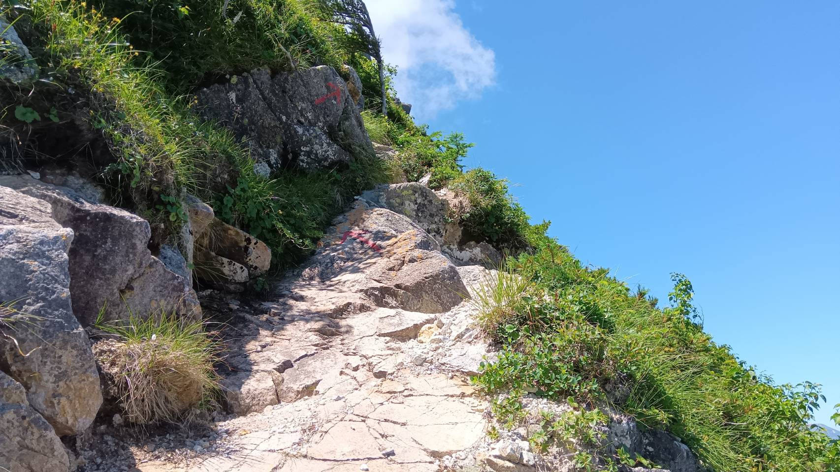 岩畳