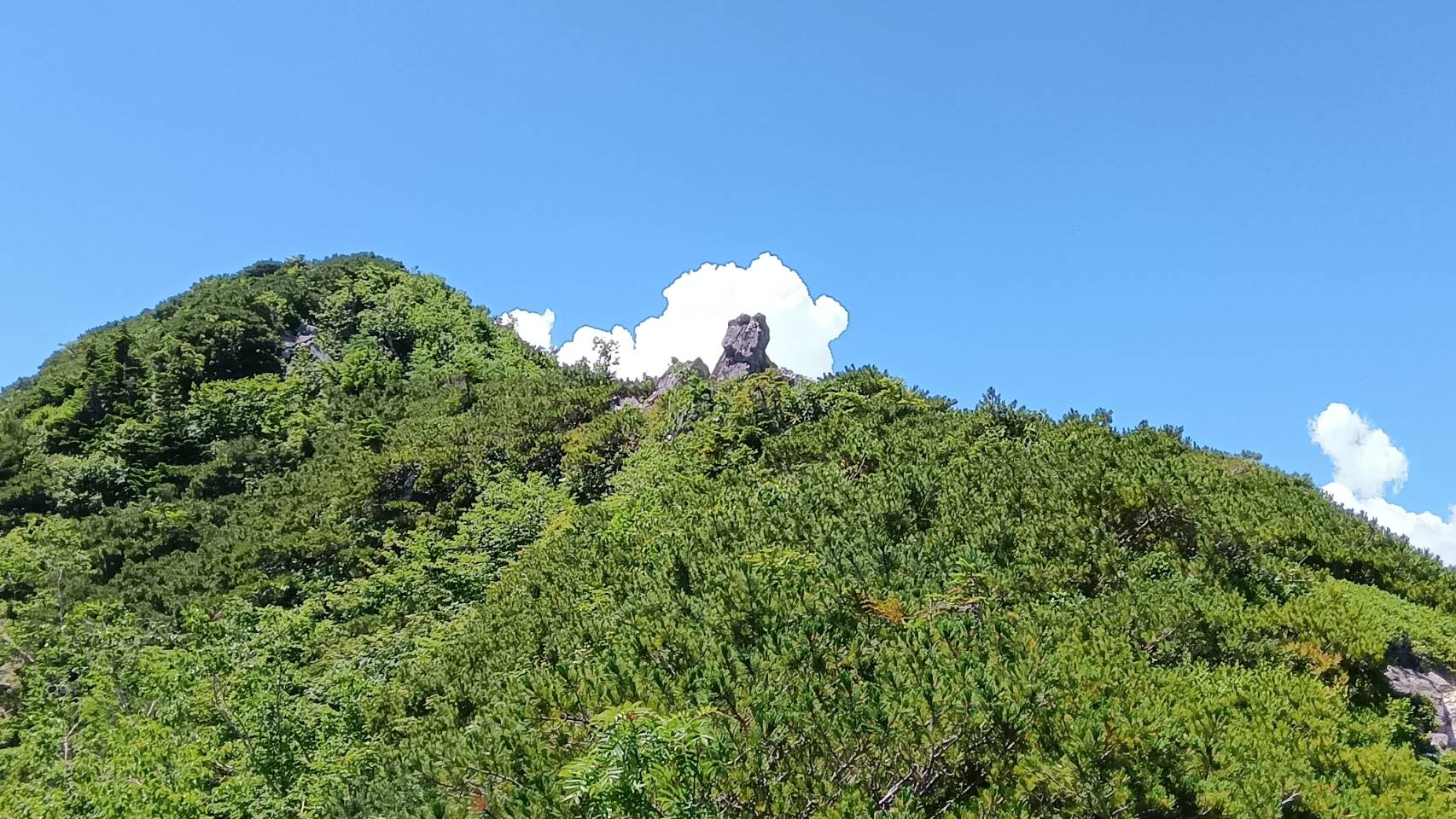 衛兵